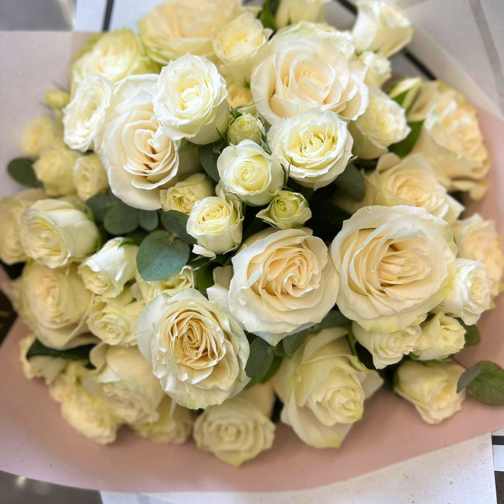 Ivory Rose Elegance Product Image